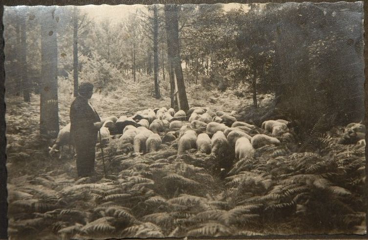 Berger autrefois